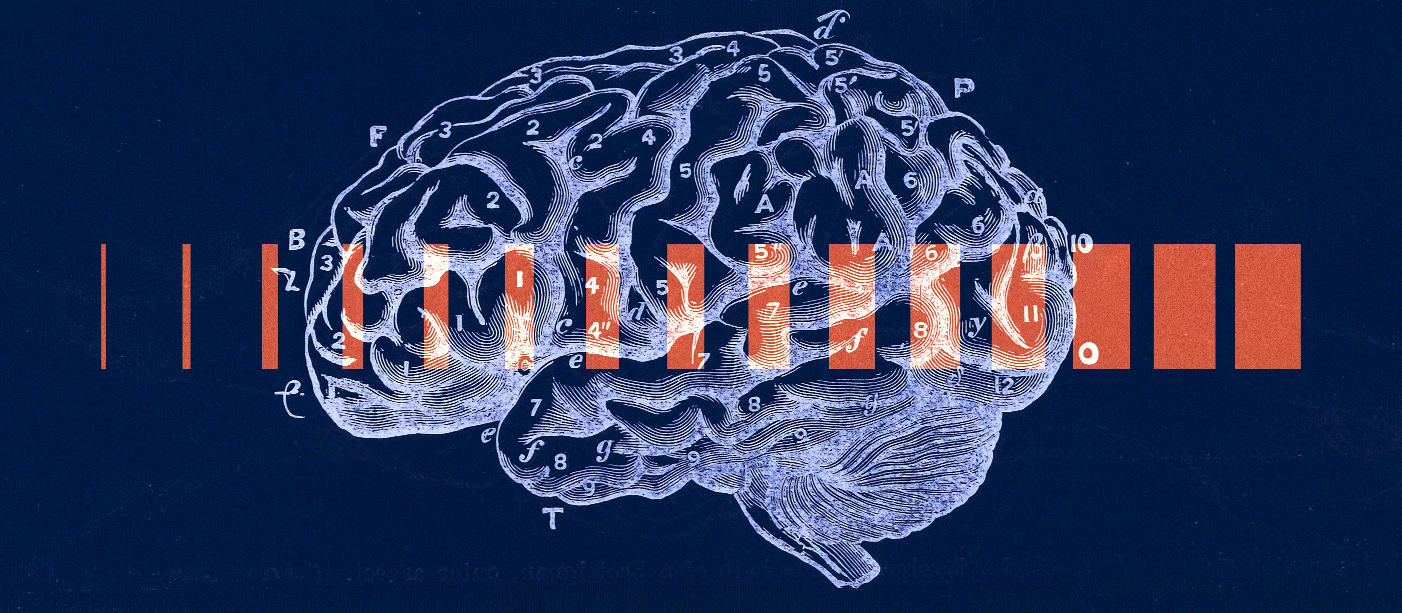 Vintage illustration of a brain, overlaid with an orange barcode-like pattern